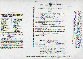 BULMAN - COOK Marriage 1921.jpg